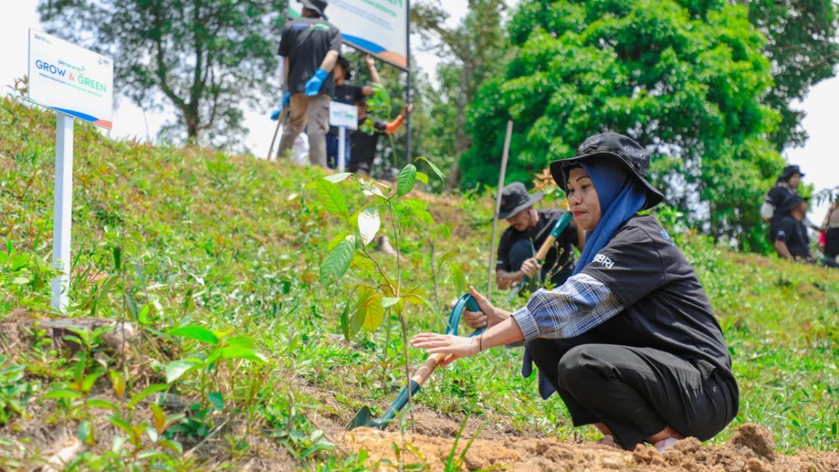 Aksi Nyata Kelompok Tani Selamatkan Lingkungan Bersama BRI Menanam-Grow & Green