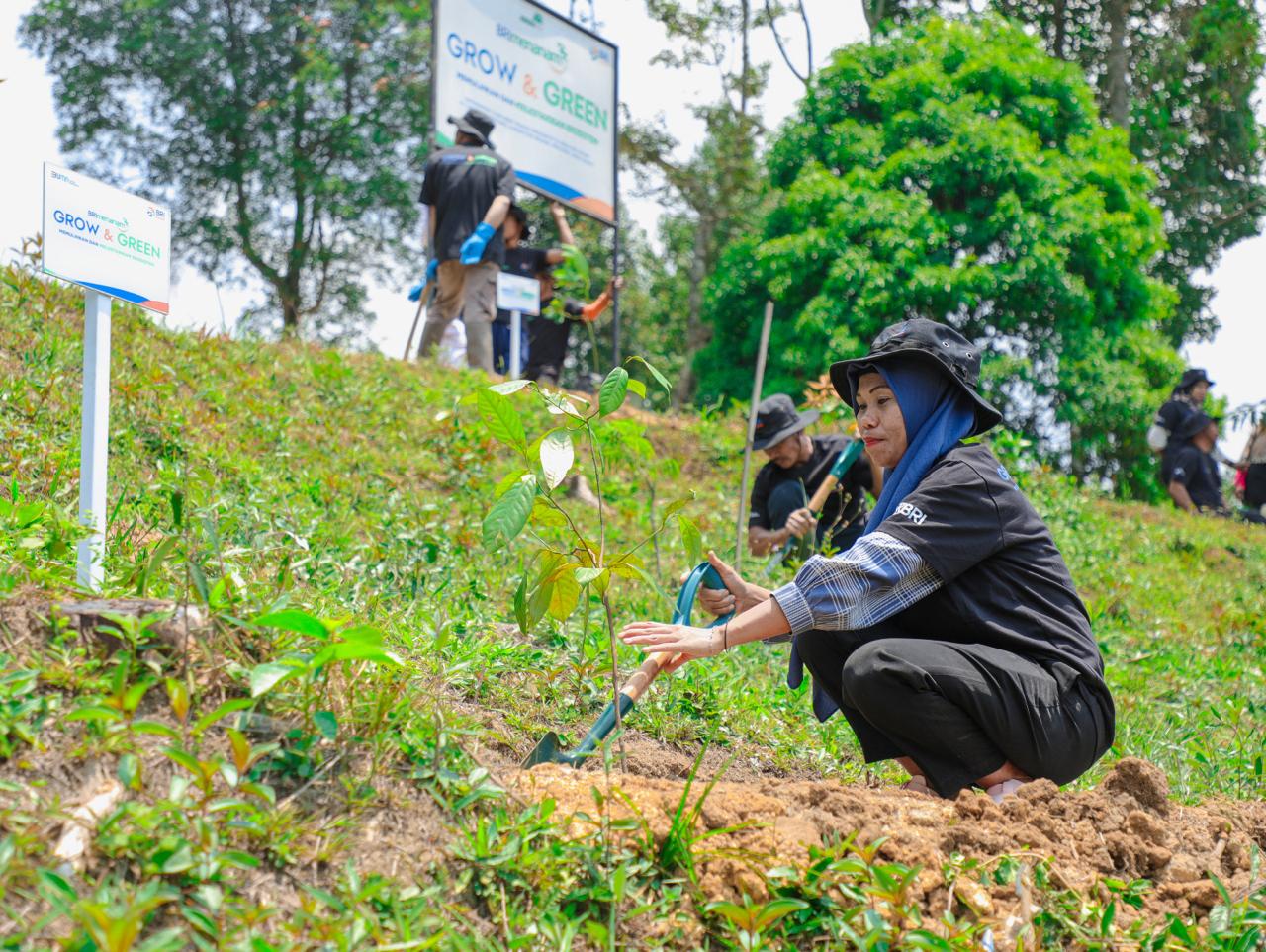 Aksi Nyata Kelompok Tani Selamatkan Lingkungan Bersama BRI Menanam-Grow & Green