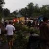 Petugas BPBD Bandung Barat dibantu masyarakat saat mengevakuasi pohon tumbang di Jalan Raya Padalarang-Purwakarta. Rabu (20/11). Dok BPBD KBB