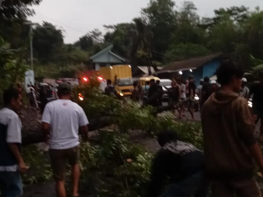 Petugas BPBD Bandung Barat dibantu masyarakat saat mengevakuasi pohon tumbang di Jalan Raya Padalarang-Purwakarta. Rabu (20/11). Dok BPBD KBB