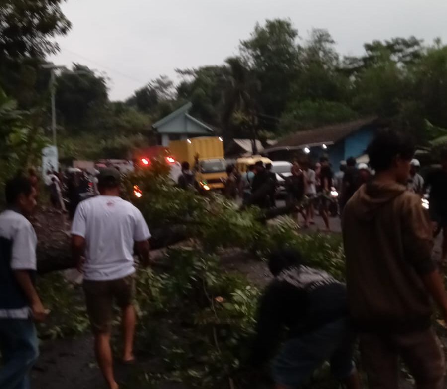 Petugas BPBD Bandung Barat dibantu masyarakat saat mengevakuasi pohon tumbang di Jalan Raya Padalarang-Purwakarta. Rabu (20/11). Dok BPBD KBB