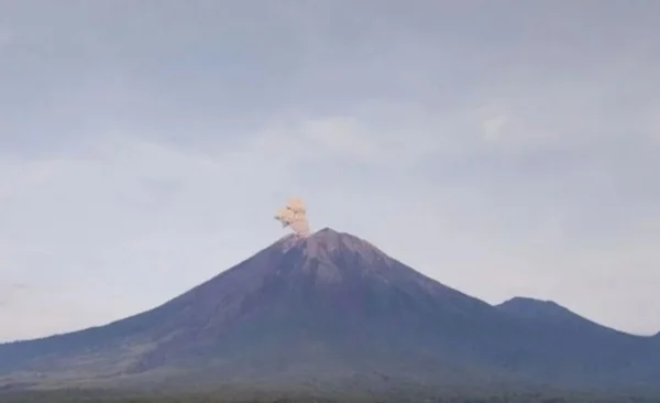 Gunung Semeru kembali erupsi dengan ketinggian letusan 800 meter. (foto/ANTARA)