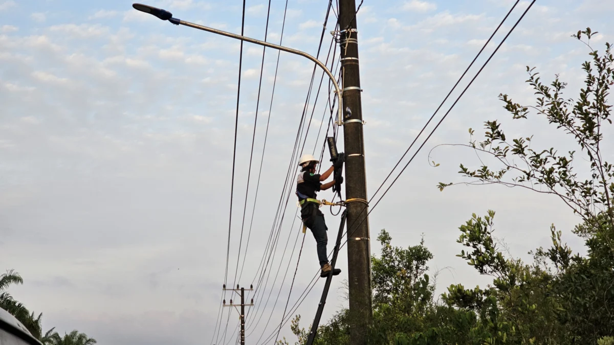 PLN Icon Plus Dukung Pelaksanaan Pilkada Serentak 2024 dengan Layanan Konektivitas Andal