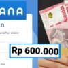 7 Kategori KTP Ini Dapat Saldo Dana Gratis Rp 600 Ribu, Cek NIK Sekarang