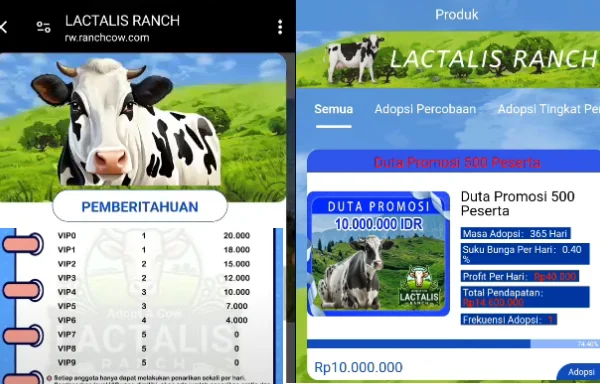 Aplikasi Lactalis Ranch Bukan Penghasil Uang, Ini Fakta Penipuannya