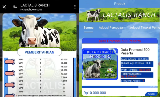 Aplikasi Lactalis Ranch Bukan Penghasil Uang, Ini Fakta Penipuannya