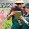 ILUSTRASI cara dapat uang hhingga Rp10 Juta perbulan dari Pemerintah.