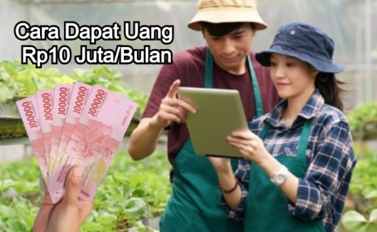 ILUSTRASI cara dapat uang hhingga Rp10 Juta perbulan dari Pemerintah.