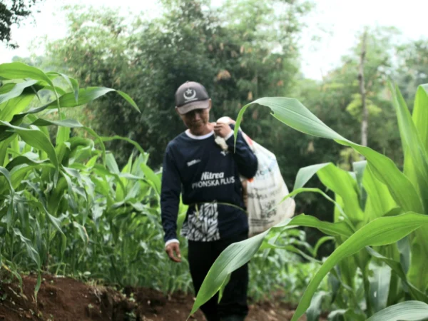 Ayep saat berangkat ke ladang jagung miliknya.(son)