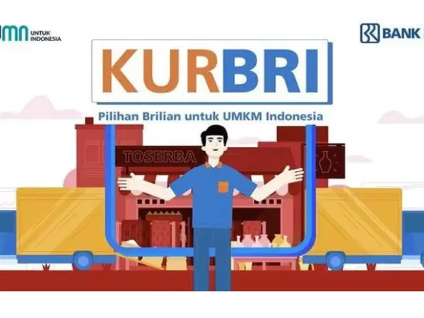 Rincian Pinjaman KUR BRI dan Non KUR BRI, Pinjaman hingga Rp250 Juta