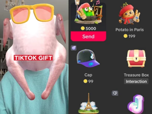 Berapa Rupiah Gift Ayam TikTok di Live