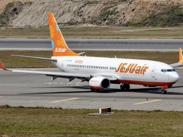 Pesawat terbang Jeju Air Boeing 737-800. (Foto/ANTARA)