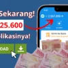 Klaim Sekarang! Saldo DANA hingga Rp325.600 Gratis Langsung Cair, Ini Triknya