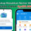 Cukup Masukkan Nomor WA Terima Reward Saldo DANA Rp450.000 Gratis Langsung Cair