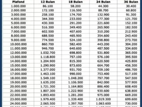 KUR BRI 2025 Segera Dibuka? Cair Hingga Rp100 Juta Syaratnya Cuma KTP