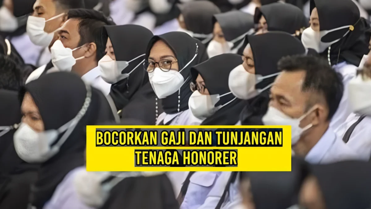 Gagal Seleksi PPPK 2024? Tenang Honorer Bisa Tetap Dapat Jaminan Gaji dan Tunjangan, Ini Caranya