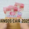 Bansos 2025 Kapan Cair? Syaratnya Cuma Pakai NIK KTP