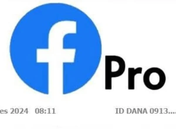 Facebook Profesional atau FB Pro saat ini banyak banyak digandrungi untuk mendapatkan penghasilan dengan hanya meposting foto dan video.