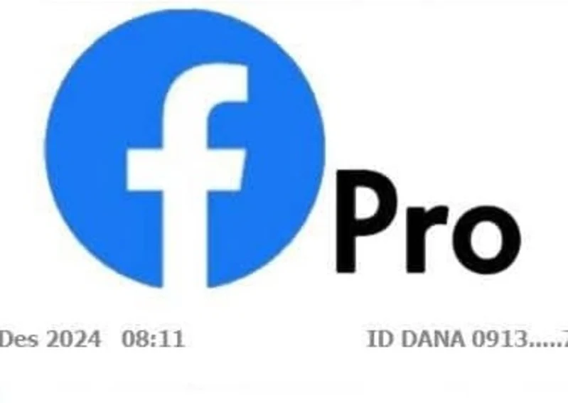 Facebook Profesional atau FB Pro saat ini banyak banyak digandrungi untuk mendapatkan penghasilan dengan hanya meposting foto dan video.