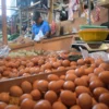 Ilustrasi: Pedagang telur ayam di Pasar Cihaurgeulis, Kota Bandung, Jum'at (3/1). Foto: Dimas Rachmatsyah/ Jabar Ekspres