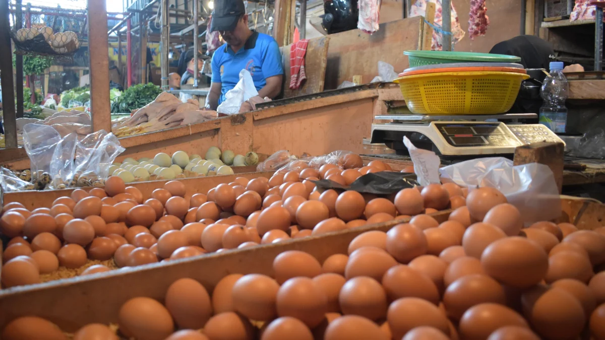 Ilustrasi: Pedagang telur ayam di Pasar Cihaurgeulis, Kota Bandung, Jum'at (3/1). Foto: Dimas Rachmatsyah/ Jabar Ekspres