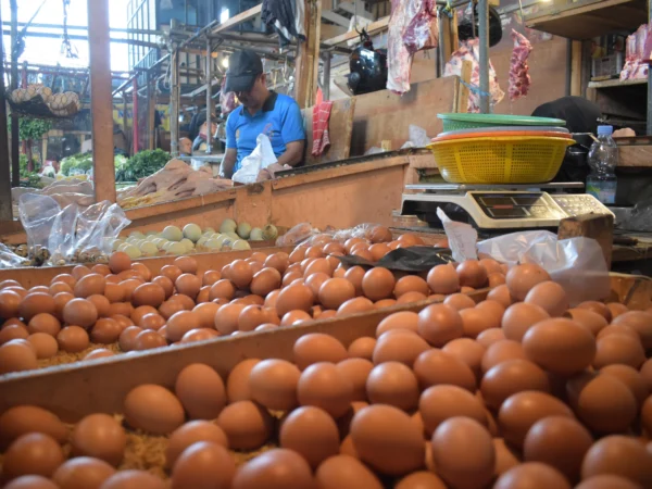 Ilustrasi: Pedagang telur ayam di Pasar Cihaurgeulis, Kota Bandung, Jum'at (3/1). Foto: Dimas Rachmatsyah/ Jabar Ekspres