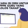 Cara Pengisian DRH NI bagi Peserta yang Lolos PPPK 2024 Periode 1