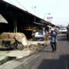 Sampah di Pasar Gedebage Kota Bandung saat ini kondisnya terus menggunung dan banyak pihak yang cuci tangan terhadap masalah itu.