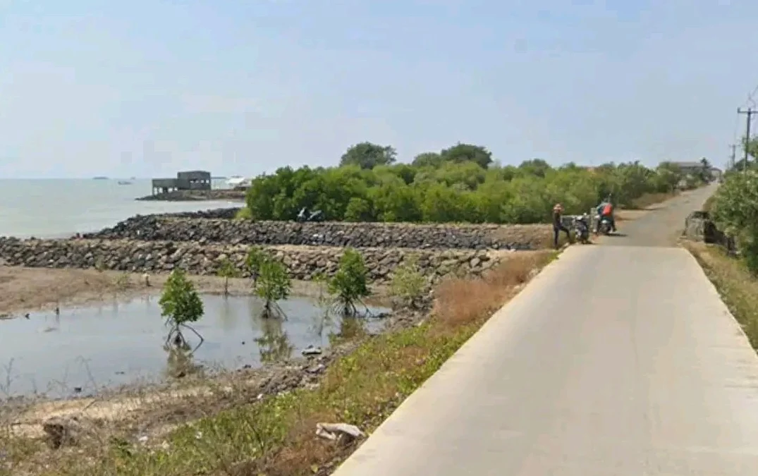 Setelah ramai mengenai pagar laut di Bekasi dan Tanggerang, Di Kabupaten Subang kini muncul 307 sertifikat yang obyek ada di laut.