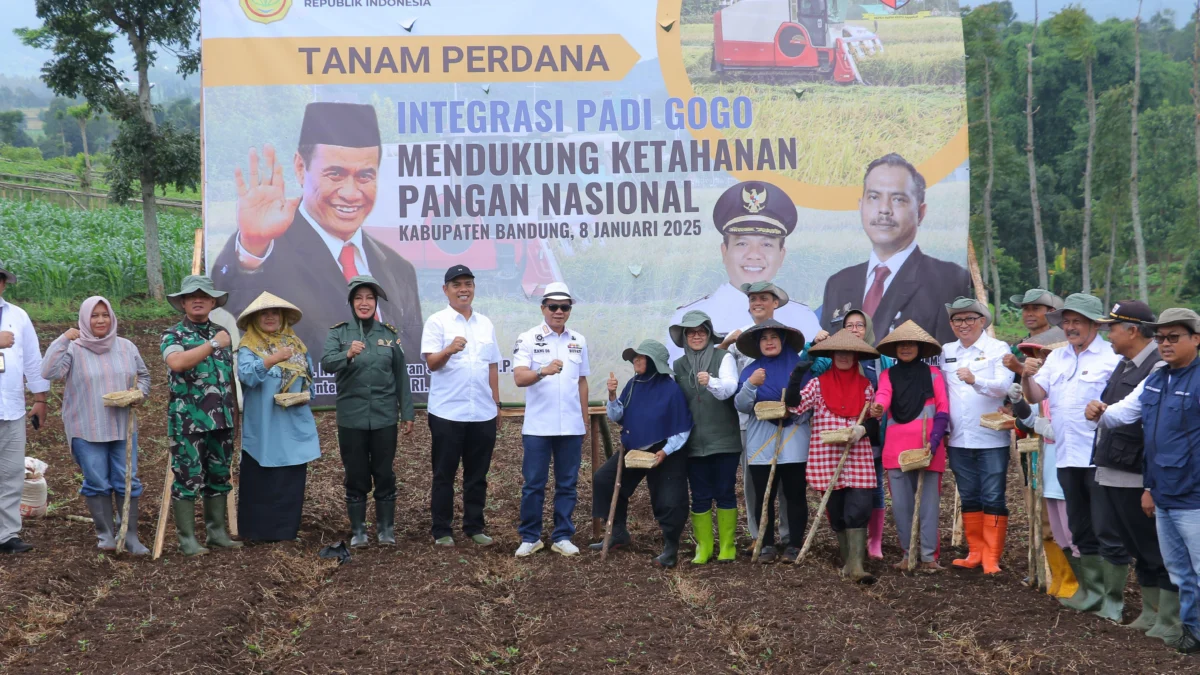 Untuk meningkatkan ketahanan pangan dengan memanfaatkan lahan-lahan yang kurang produktif. Pemerintah Kabupaten Bandung meluncurkan program penanaman padi gogo terintegrasi di SPLPP Unpad di Desa/Kecamatan Arjasari, Kabupaten Bandung, Rabu (8/1/2025). Foto Istimewa