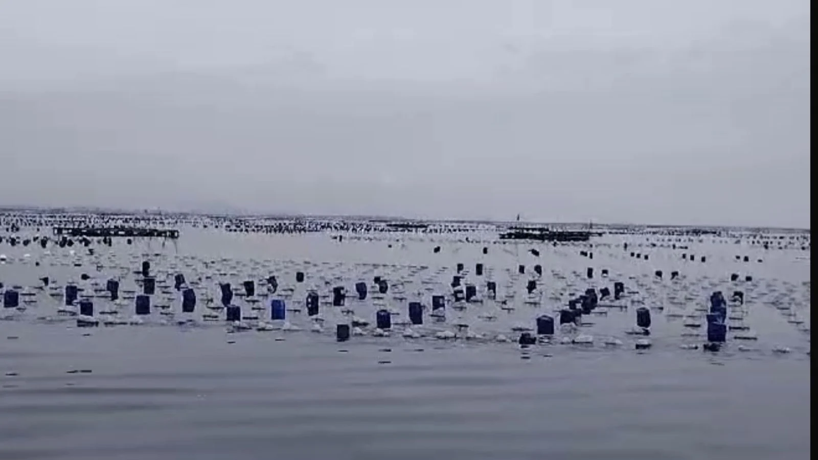 Keberadaan "Pagar Laut" di Pesisir Utara Tangerang, Semua Pihak Diimbau Bijak 