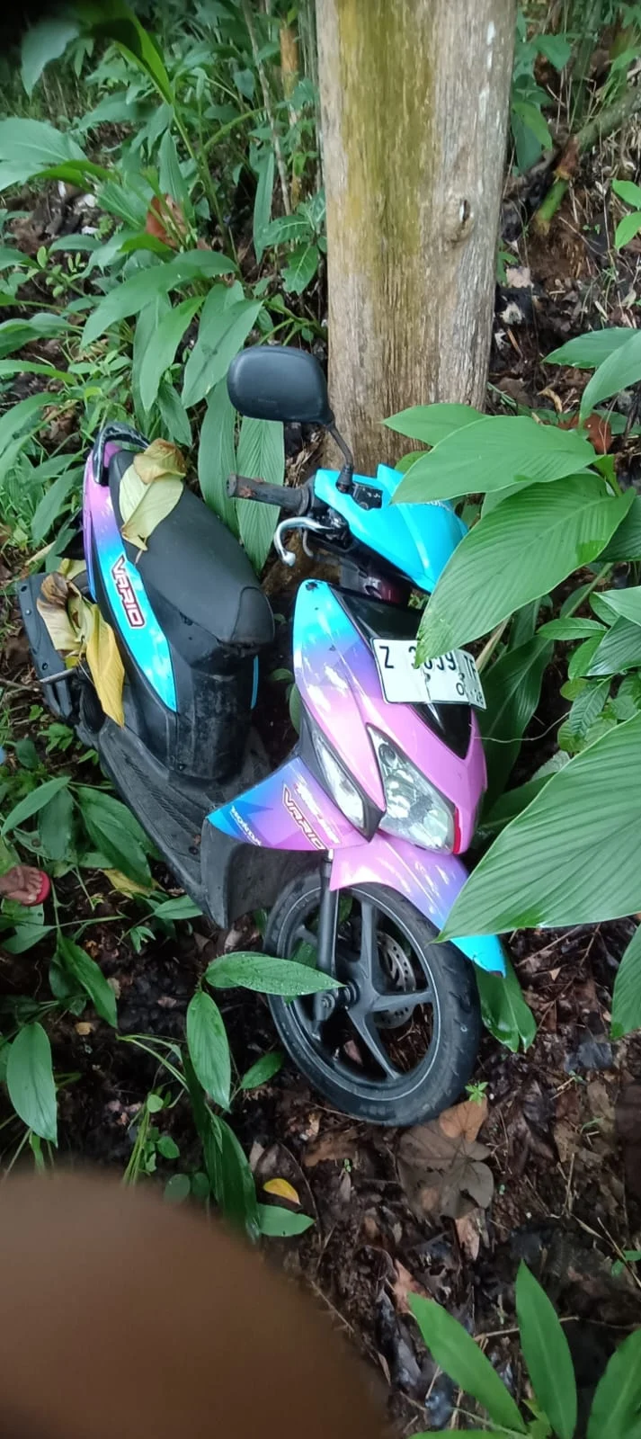 Motor metik Honda Vario tergeletak di perkebunan Jati di wilayah Pangadegan Kota Banjar. Ternyata sepeda motor ini hasil curian. (Istimewa)