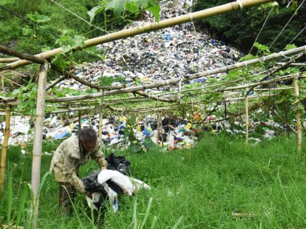 Ilustrasi: Seorang warga tengah memilah sampah di lokasi pembuangan sampah ilegal di Lembang, Bandung Barat. Foto: Dimas Rachmatsyah / Jabar Ekspres