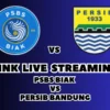 LINK Live Streaming PSBS Biak vs Persib Bandung Hari Ini, Pekan Ke-18 di BRI Liga 1 2024/2025