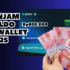 Pinjam Saldo EWallet Rp800.000 Langsung Diterima Cepat Lewat Cara Ini