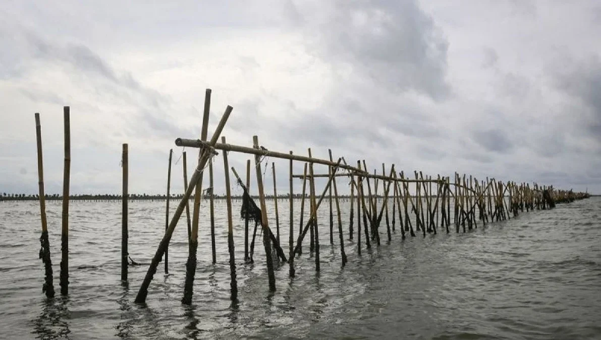 Pagar Laut sepanjang 30,16 KM yang terpasang di perairan Tangerang. (Foto: ANTARA)