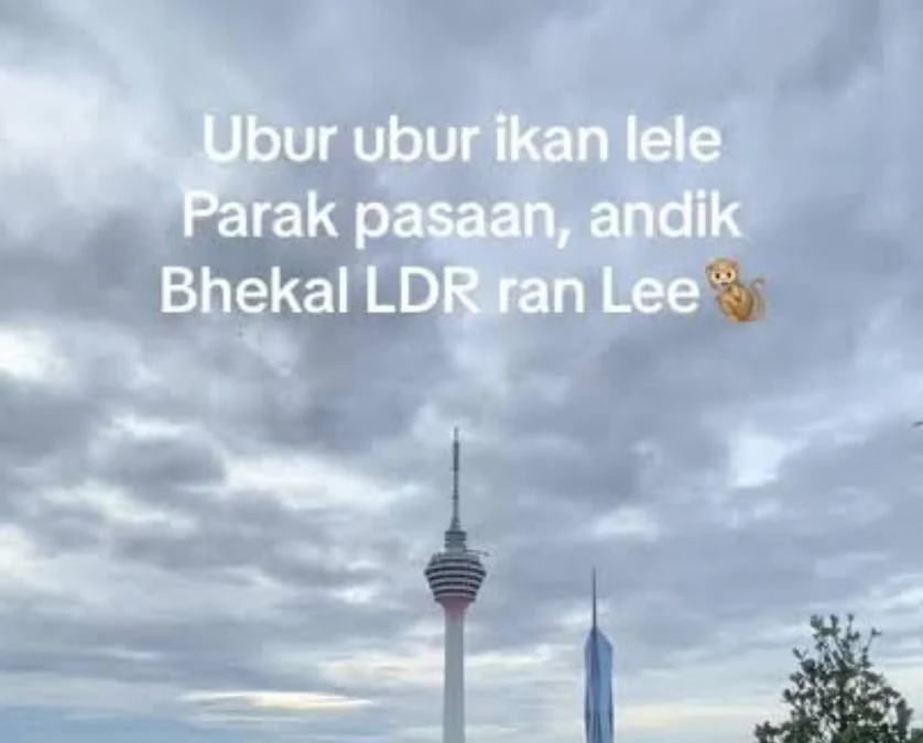 Kumpulan Pantun Ubur Ubur Ikan Lele yang Lagi Tren di TikTok  