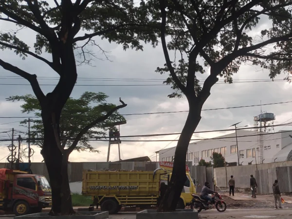 Truk pengangkut barang sedang diparkirkan di bahu Jalan Raya Bandung-Garut tepatnya Jalur Nasional wilayah Kecamatan Rancaekek, Kabupaten Bandung. (Yanuar/Jabar Ekspres)