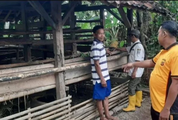 Bhabinkamtibmas Waringinsari menunjukkan kandang kambing milik warga Dusun Purwodadi RT 02 RW 03 Desa Waringinsari Kecamatan Langensari Kota Banjar, belum lama ini. (Istimewa)