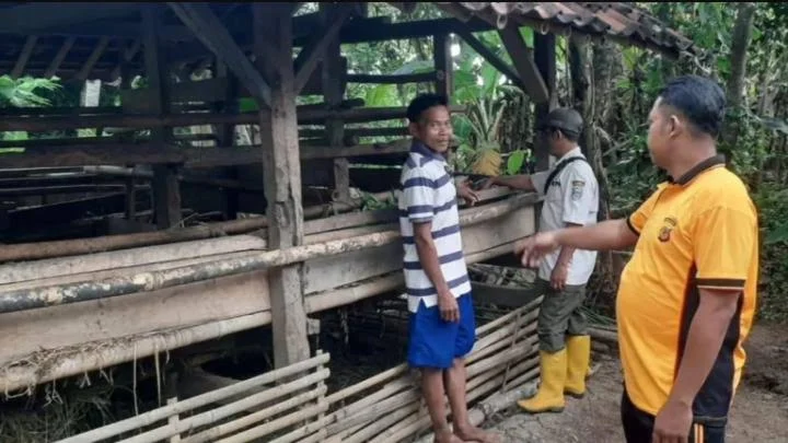 Bhabinkamtibmas Waringinsari menunjukkan kandang kambing milik warga Dusun Purwodadi RT 02 RW 03 Desa Waringinsari Kecamatan Langensari Kota Banjar, belum lama ini. (Istimewa)