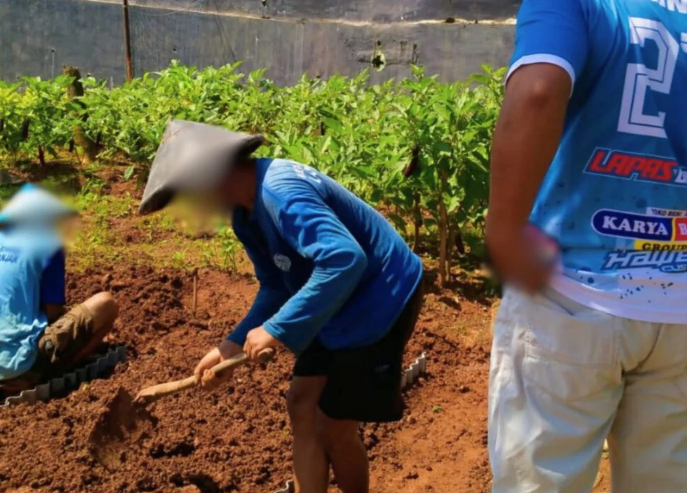 Warga binaan Lapas Kelas llB Banjar saat mengolah tanah menjadi lahan perkebunan di area lapas. (Foto: Istimewa)