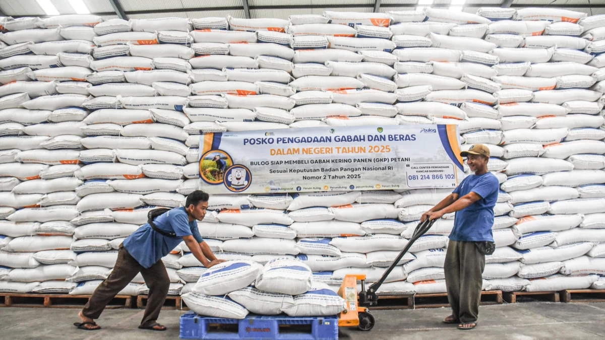 Pekerja melakukan bongkar muat beras di Gudang Bulog Cisaranten Kidul Sub Divre Bandung, Jum'at (7/2). Foto: Dimas Rachmatsyah / Jabar Ekspes