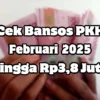 Cek Segera NIK KTP Penerima Dana Bansos PKH Februari 2025 hingga Rp3,8 Juta