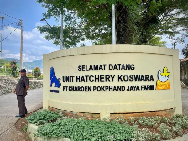 Unit Hatchery Koswara PT Charoen Pokphand Jaya Farm di Desa/Kecamatan Cipatat, Bandung Barat. Dok Jabar Ekspres/Suwitno