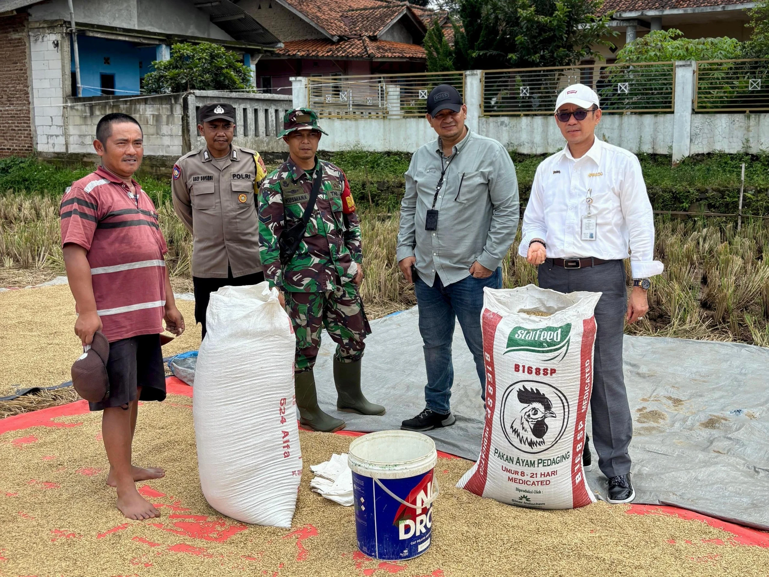 ILUSTRASI Penyerapan Gabah BULOG Jabar Tembus 100%.