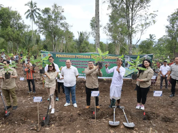 Wamen ATR/Waka BPN Tanam Pisang di Jembrana, Wujud Penataan Akses Tanah Ulayat Pertama di Indonesia