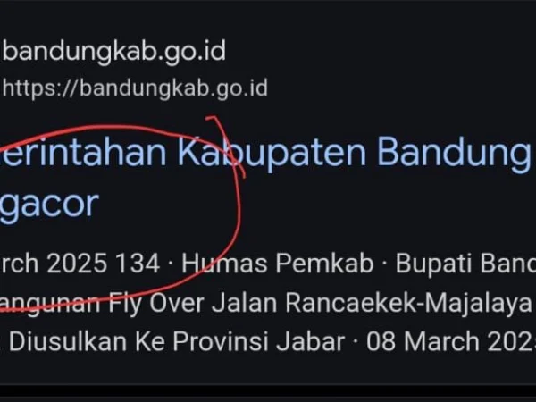 Tangkapan layar google terkait website pemkab bandung diduga diretas. (Jabar Ekspres)