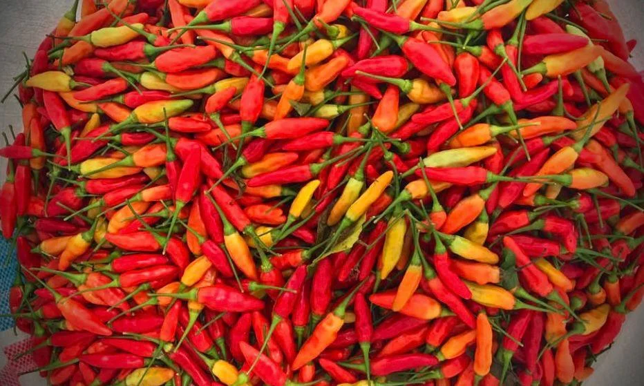 Cabai rawit merah di Pasar Banjar, Jawa Barat masih mahal. Harganya masih mencapai Rp100 ribu per kilogram. (Cecep Herdi / Jabar Ekspres)
