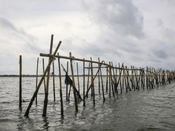 Ilustrasi pagar laut bekasi. (Foto: ANTARA)