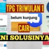 Ini Solusi TPG TW1 2025 yang Belum Cair di Info GTK